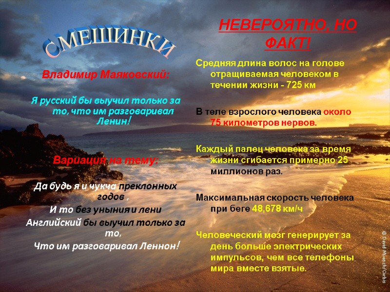 НЕВЕРОЯТНО, НО ФАКТ! Владимир Маяковский:  Я русский бы выучил только за то, что